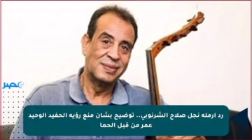 رد أرملة نجل صلاح الشرنوبي.. توضيح بشأن منع رؤية الحفيد الوحيد عمر من قبل الحما